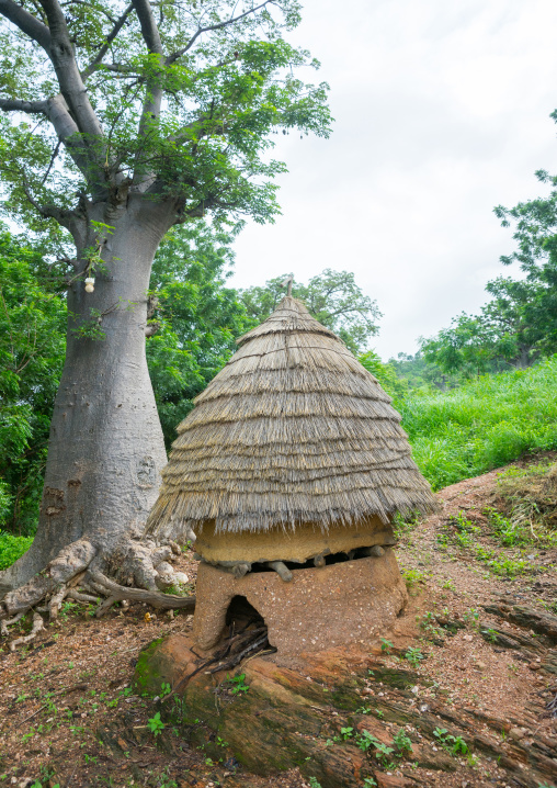 Togo, West Africa, Nadoba, traditional tata somba granary