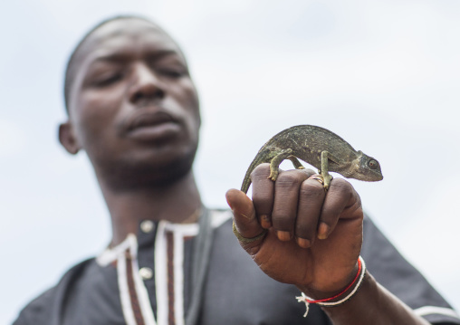 Benin, West Africa, Bonhicon, kagbanon bebe voodoo priest with a chameleon on his hand