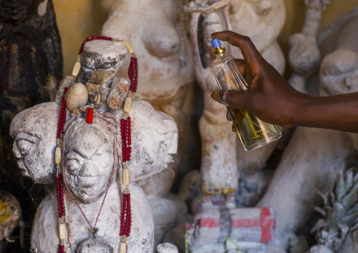 Benin, West Africa, Bonhicon, kagbanon bebe voodoo priest putting some perfume on the sacred statues during a ceremony