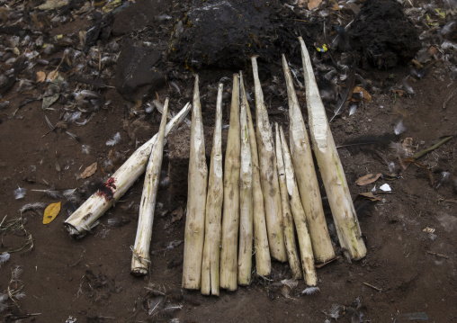 Benin, West Africa, Dankoly, wood sticks used to ask favors to the spirits on a voodoo shrine
