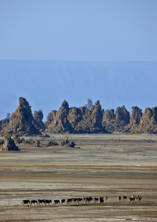 Rock Formations, Lake Abbe, Djibouti