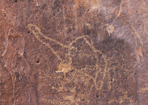Camels Petroglyphs, Goubet Al-kharab, Djibouti