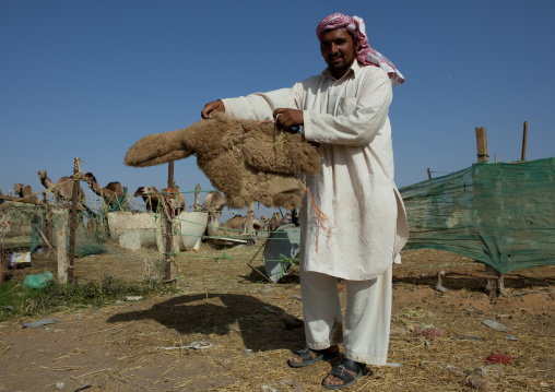 Camel Market In Al Ain, Emirates