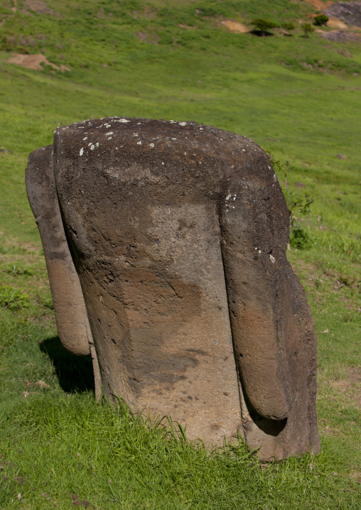 Back Of A Moai Head In Rano Raraku, Easter Island, Chile