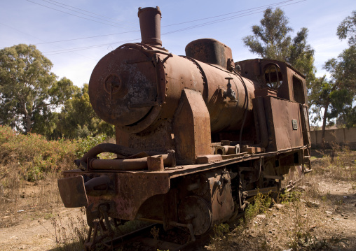 Old Train In Asmara Train Station, Eritrea