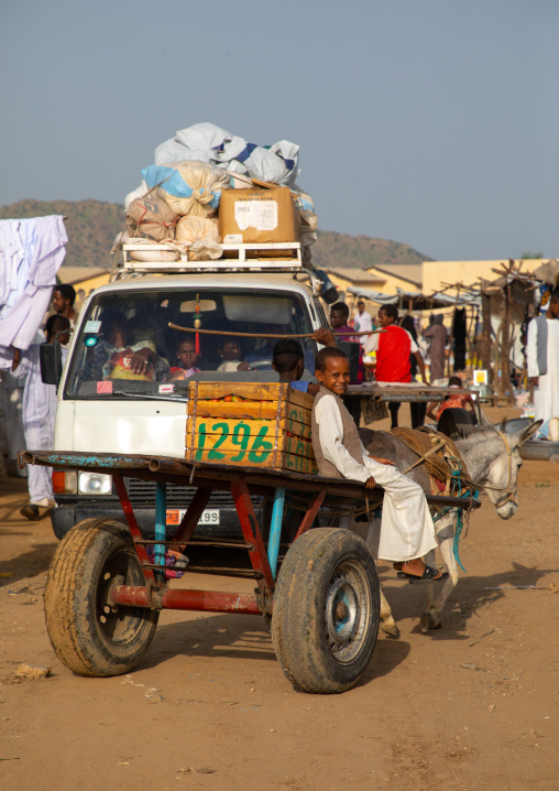 Eritrean boy going to the market on a cart, Gash-Barka, Agordat, Eritrea