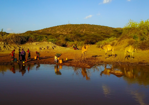 Aerial view of Borana tribe people filling jerricans in a water reservoir used for animals, Oromia, Yabelo, Ethiopia