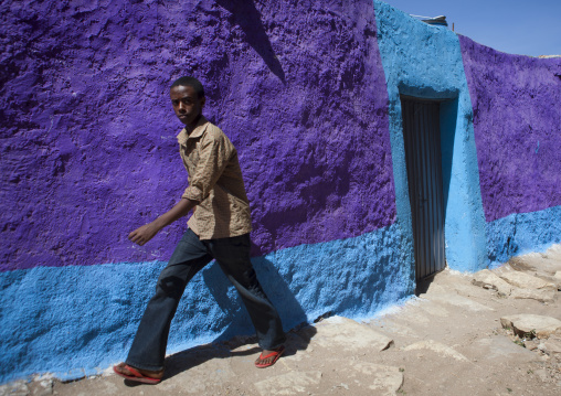 Man Passing By A Purple Painted House, Harar, Ethiopia