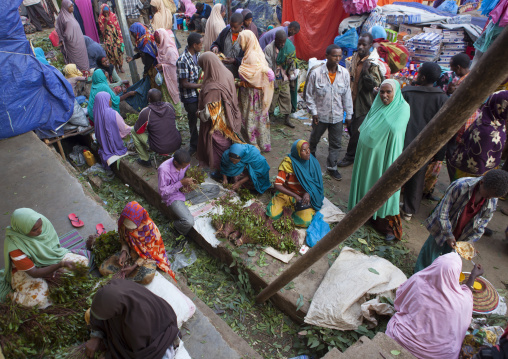 Overview Of The Giant Khat Market Near Harar, Adaway, Ethiopia