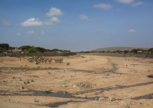 Dry Dechatu River, Dire Dawa, Ethiopia