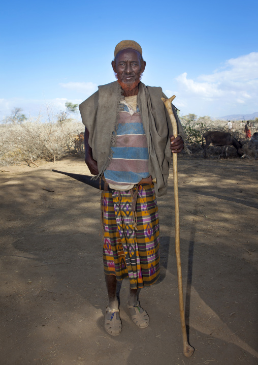 Smiling Elder Karrayyu Tribe Man With Ginger Tainted Beard During Gadaaa Ceremony, Metahara, Ethiopia