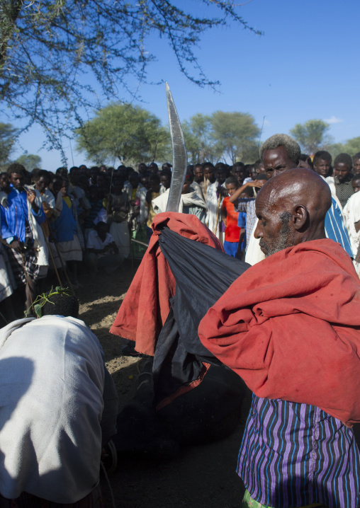 Former Leader Of The Karrayyu Tribe Preparing For The Slaughtering Of A Cow During Gadaaa Ceremony, Metahara, Ethiopia
