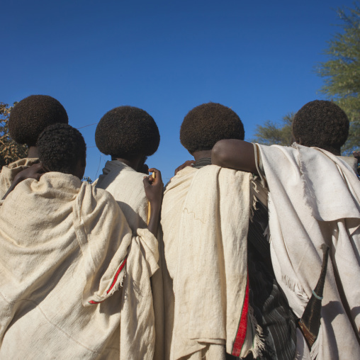 Rear View Of Karrayyu Tribe Men With Gunfura Hairstyle During Gadaaa Ceremony, Metahara, Ethiopia