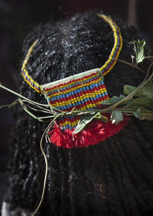 Headband And Branches In The Hair Of A Karrayyu Tribe Girl In Gadaaa Ceremony, Metehara, Ethiopia