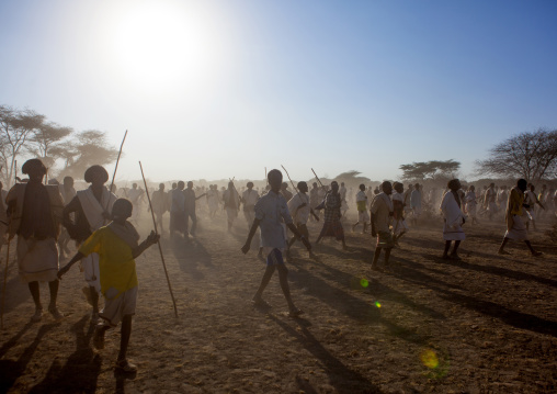 Large Group Of Karrayyu Tribe Men Walking At Sunset To Attend Stick Fighting During Gadaaa Ceremony, Metahara, Ethiopia