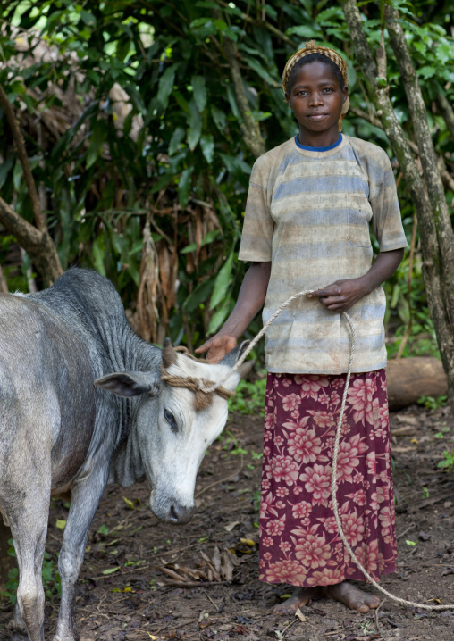 Ari teenage girl with a cow on leash omo valley Ethiopia