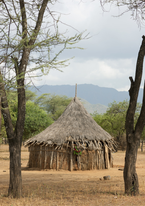 Thatch Roofed Isolated Hut Omo Valley Ethiopia