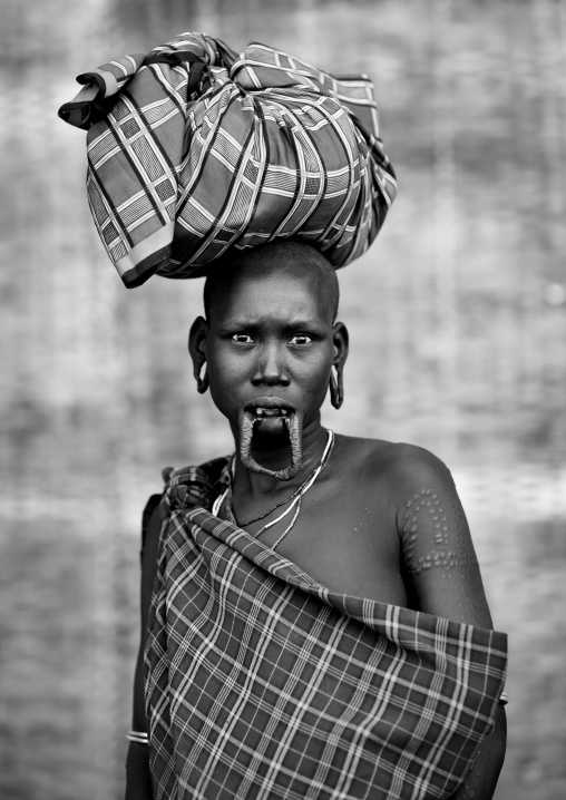 Scarified Mursi Woman With Extended Inferior Lip And Ear Lobes Carrying A Load On Her Head With Scared Look Omo Valley Ethiopia