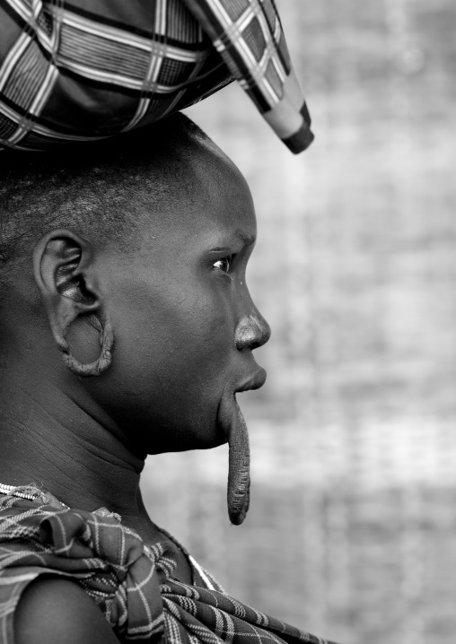 Mursi Woman With Extended Inferior Lip And Ear Lobes Carrying A Load On Her Head Omo Valley  Ethiopia