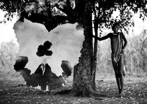 Cow Skin Drying Under A Tree And Bodi Teenage Girl Omo Valley Ethiopia