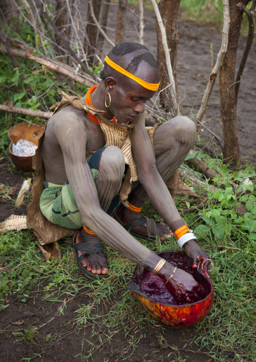 Bodi Man Preparing The Cow Blood After Sacrifice In Order To Drink It Ethiopia