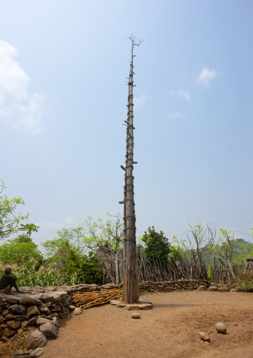 Generation Pole, On The Ceremonial Square, Erected During Initiation Ceremonies Konso Village Southern Ethiopia