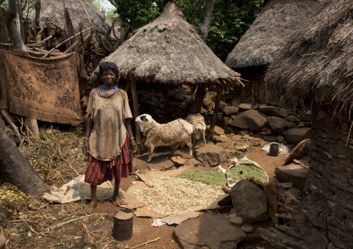 Konso Woman In A Courtyard Surrounded By Drying Plants And Sheep, Ethiopia