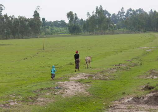 Woman with mule and child walking in meadow near addis abeba Ethiopia