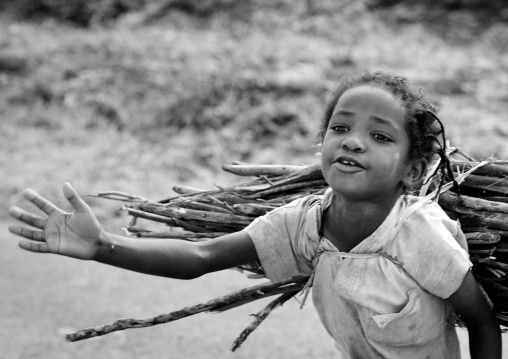 Young girl walking with a load of wood on her back Ethiopia