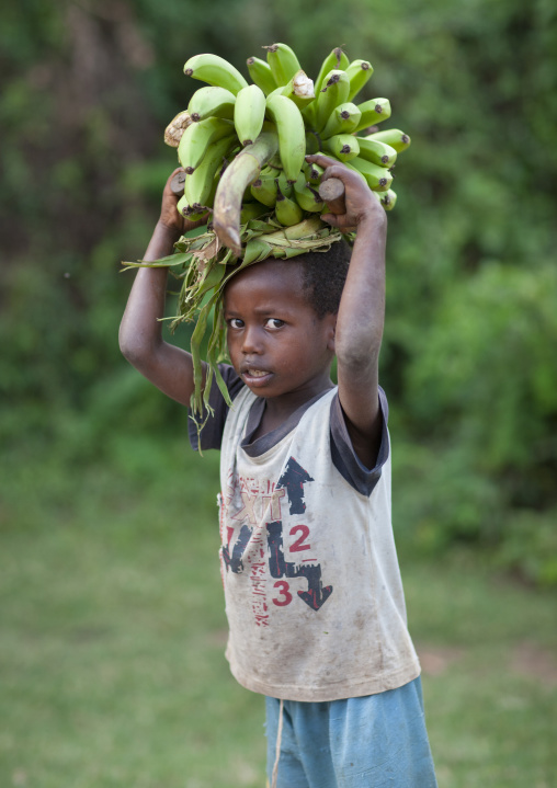 Young Boy With Green Bananas Bunch On His Head Ethiopia