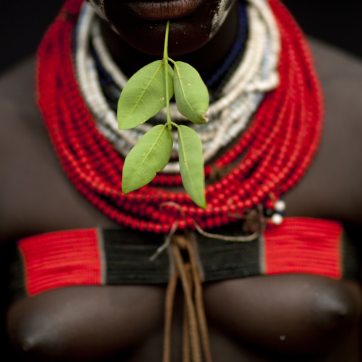 Breasts Of Karo Woman Wearing Bra And Beaded Necklace Omo Valley Ethiopia