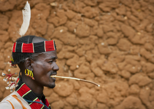 Traditionally Dressed Hamer Man With Feather Chewing Siwak Stick Omo Valley Ethiopia