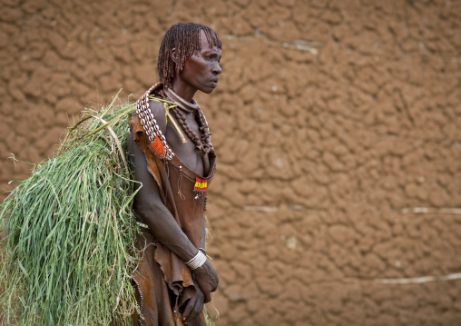 Hamer Man Carrying A Load Of Straw Wearing Skin Device Omo Valley Ethiopia
