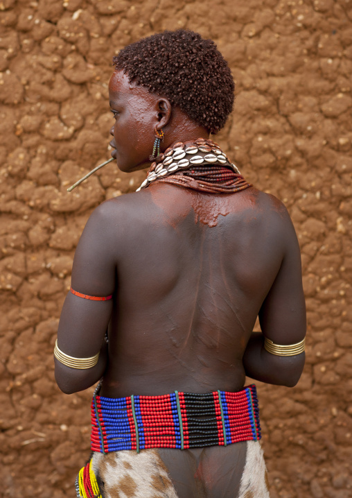Back Of Hamer Beautiful Woman Posing In Front Of Clay House  Omo Valley Ethiopia