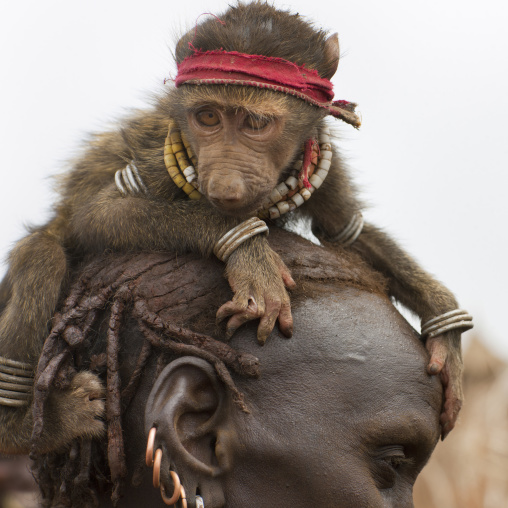 A Monkey Pet On The Head Of Dassanech Woman Omo Valley Ethiopia