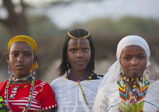Three Smiling Karrayyu Tribe Girls With Stranded Hair, Colourful Jewels And Headscarfs At Gadaaa Ceremony, Metehara, Ethiopia