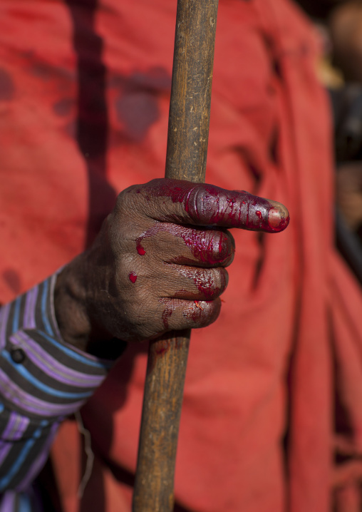 Close Up On The Hand Covered With Cow Blood Of The Former Karrayyu Tribe Leader During Gadaaa Ceremony, Metahara, Ethiopia