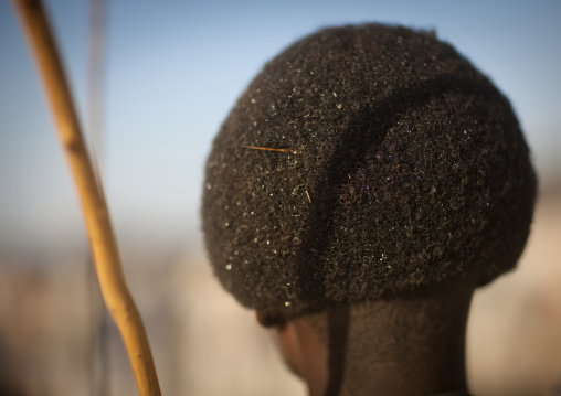 Rear View Of The Gunfura Haircut Of A Karrayyu Tribe Man In Gadaaa Ceremony, Metehara, Ethiopia