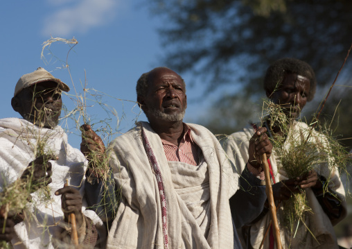 Former Karrayyu Tribe Leaders Holding Grass To Be Exchanged With The New Leader During Gadaaa Ceremony, Metahara, Ethiopia