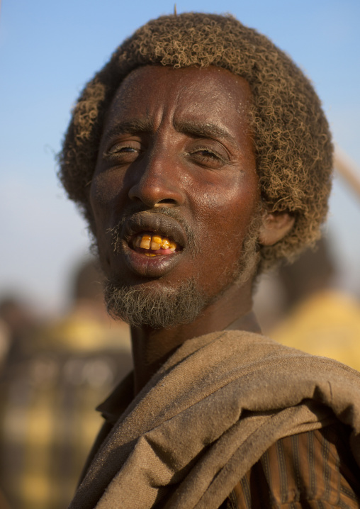 Portrait Of A Karrayyu Tribe Man With His Gunfura Traditional Hairstyle Covered With Dust During Gadaaa Ceremony, Metehara, Ethiopia