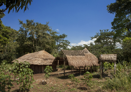 Majang Tribe Village, Majangir, Ethiopia