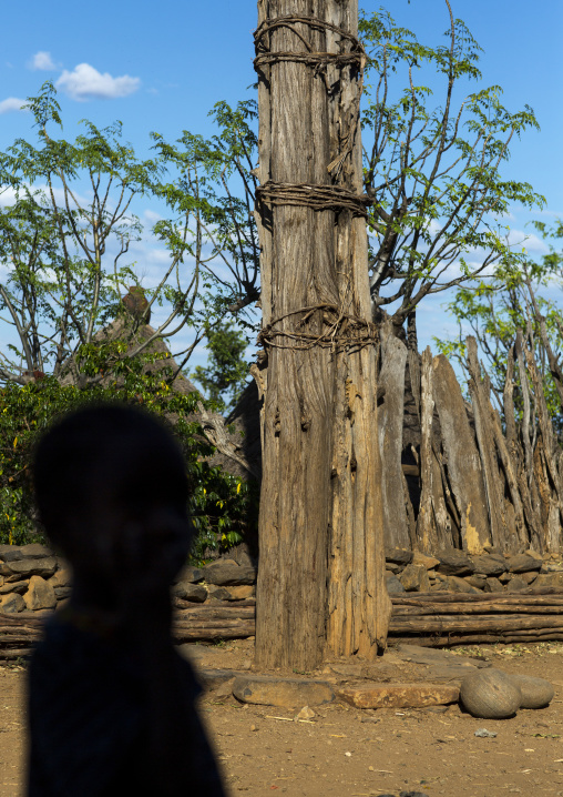 Generation Pole, On The Ceremonial Square, Erected During Initiation Ceremonies Konso Village, Southern Ethiopia