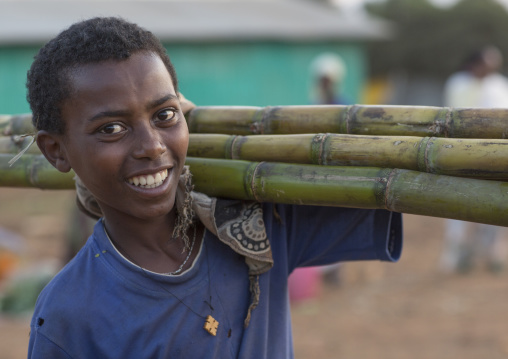 Smiling Boy Carrying Sugarcanes, Tepi, Ethiopia