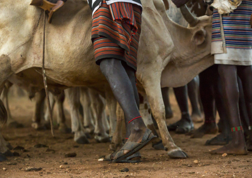 Bashada Tribe During A Bull Jumping Ceremony, Dimeka, Omo Valley, Ethiopia