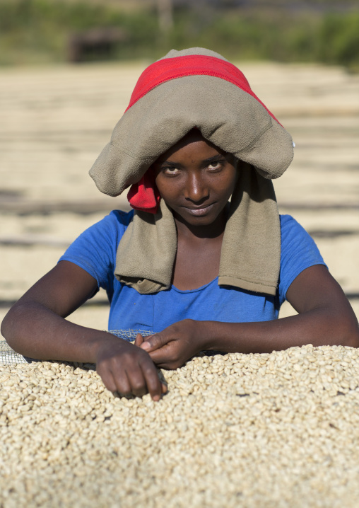 Worker In Front Of White Coffee Beans Drying In The Sun In A Fair Trade Coffee Farm, Jimma, Ethiopia