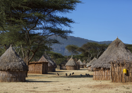 Traditional Village In Borana Tribe, Ola Alakadjilo, Ethiopia