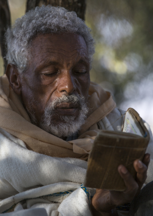 Orthodox Pilgrim Reading The Bible At Timkat Festival, Lalibela, Ethiopia