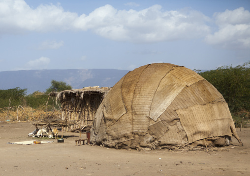 Afar Tribe Homesteads, Afambo, Ethiopia