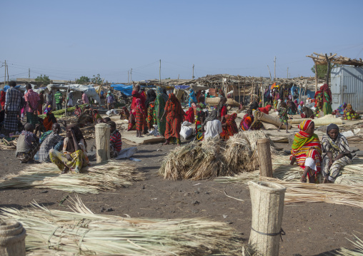 Assayta Afar Market, Ethiopia