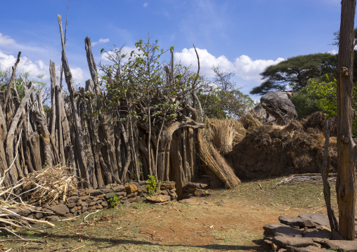 Konso Village Entrance And Wooden Fences, Southern Ethiopia